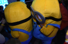 Crazy Minions Party - Club Kongo Letohrad 27.1.2018
